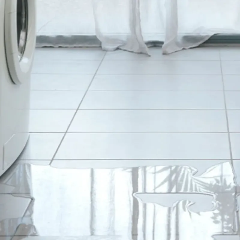 Appliance Leak Cleanup in Danielsville, GA